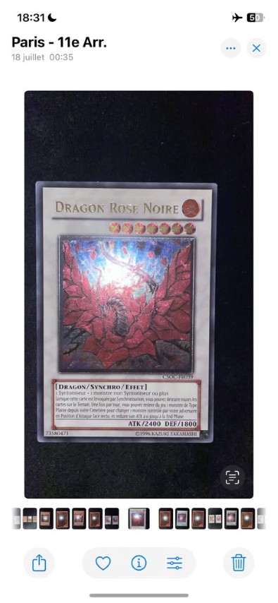 Dragon Rose Noir