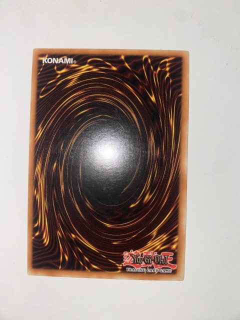 Ring Of Destruction — verso