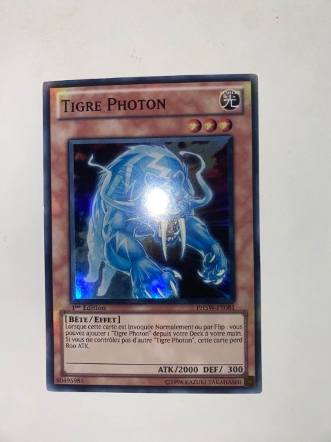 Tigre Photon