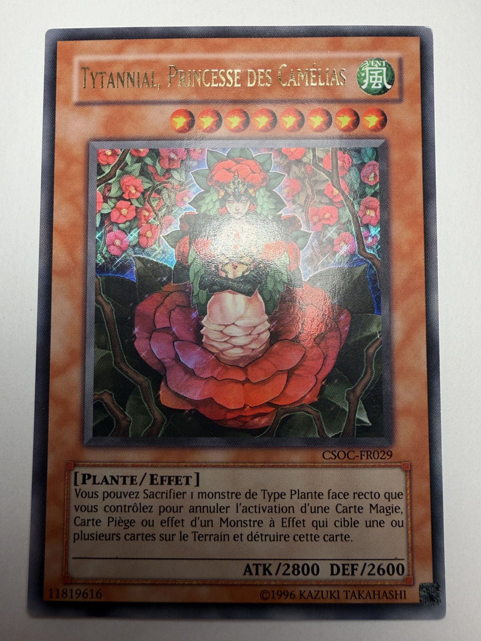 Tytanial Princesse Des Camelias
