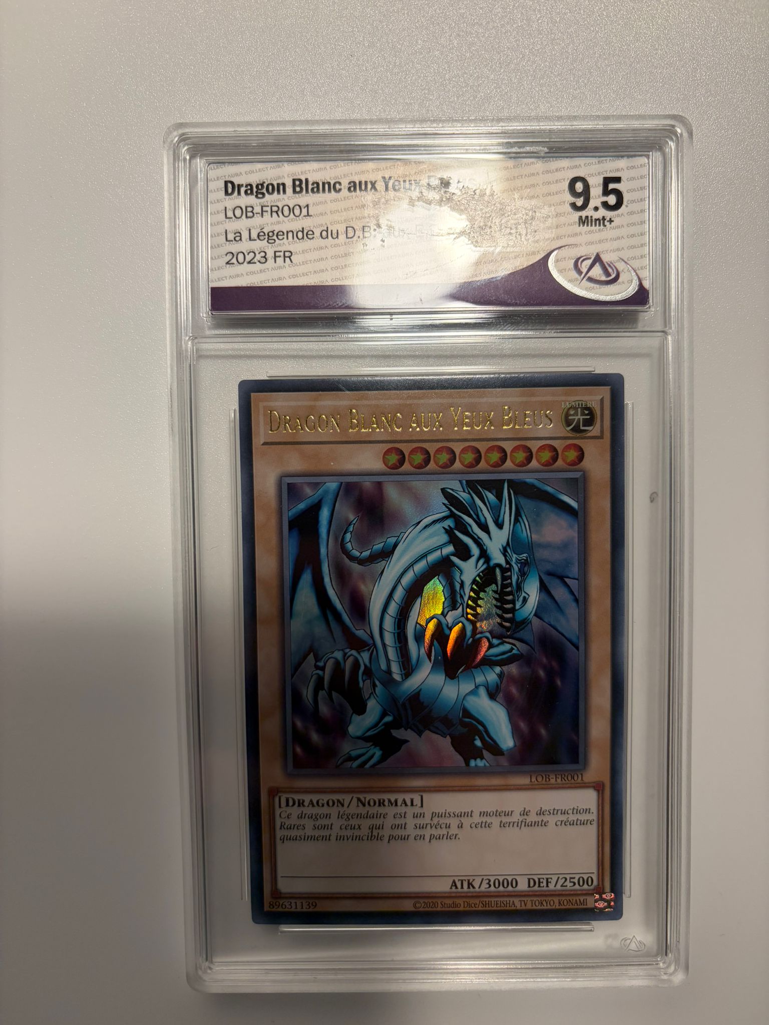 Dragon Blanc Aux Yeux Bleus