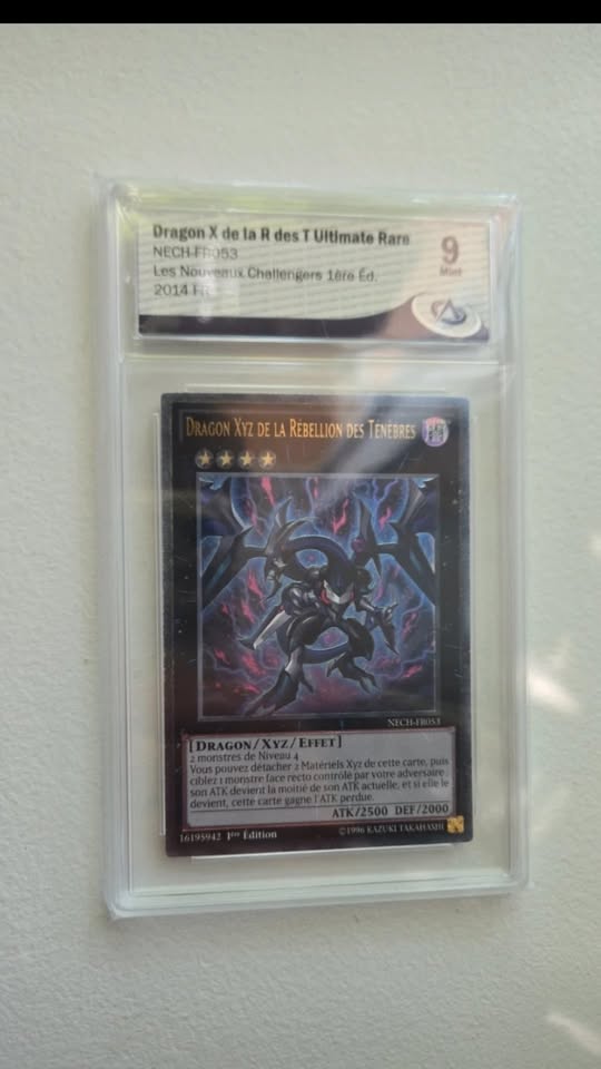 Dragon Xyz De La Rébellion Des Ténèbres