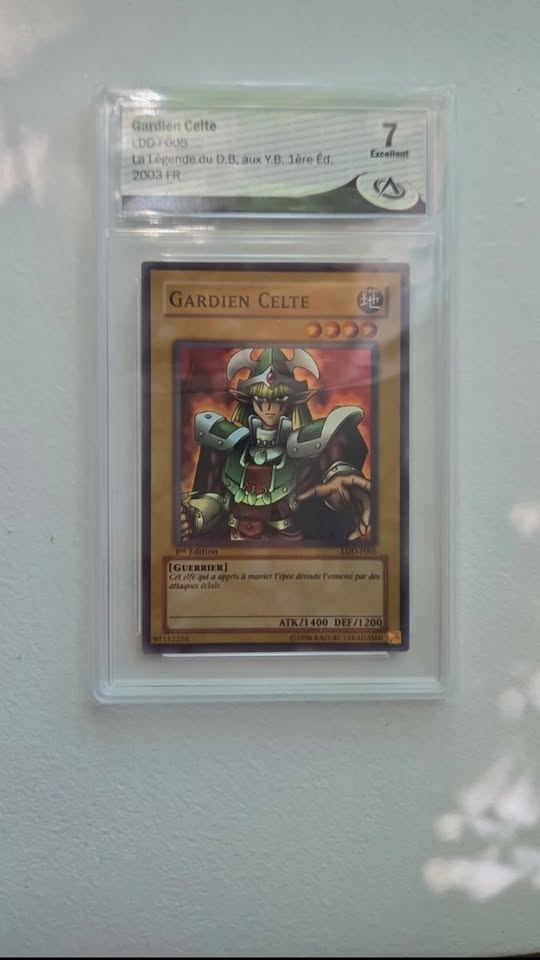 Gardien Celte