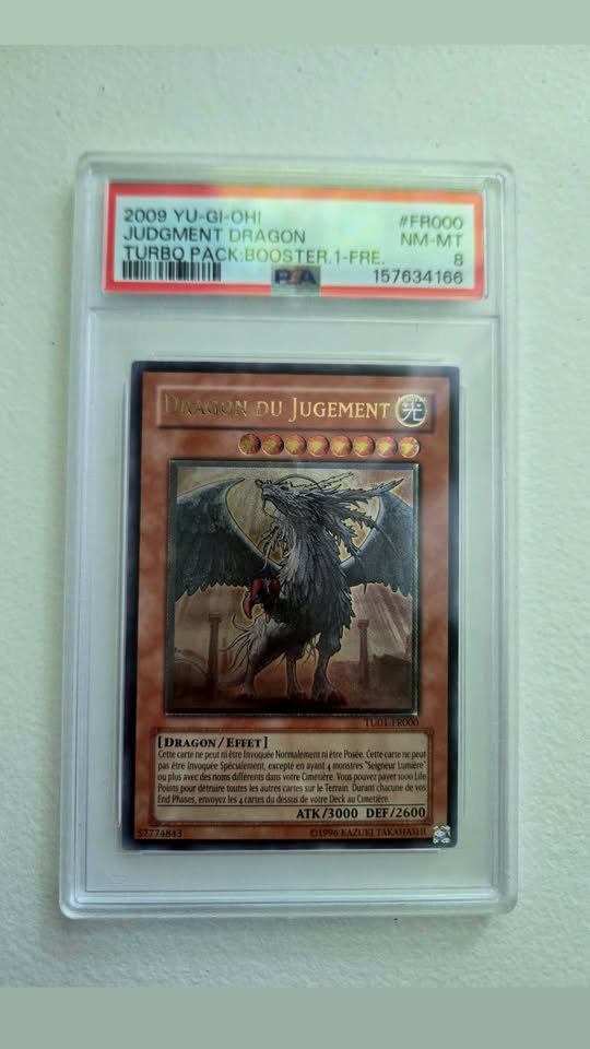 Dragon Du Jugement