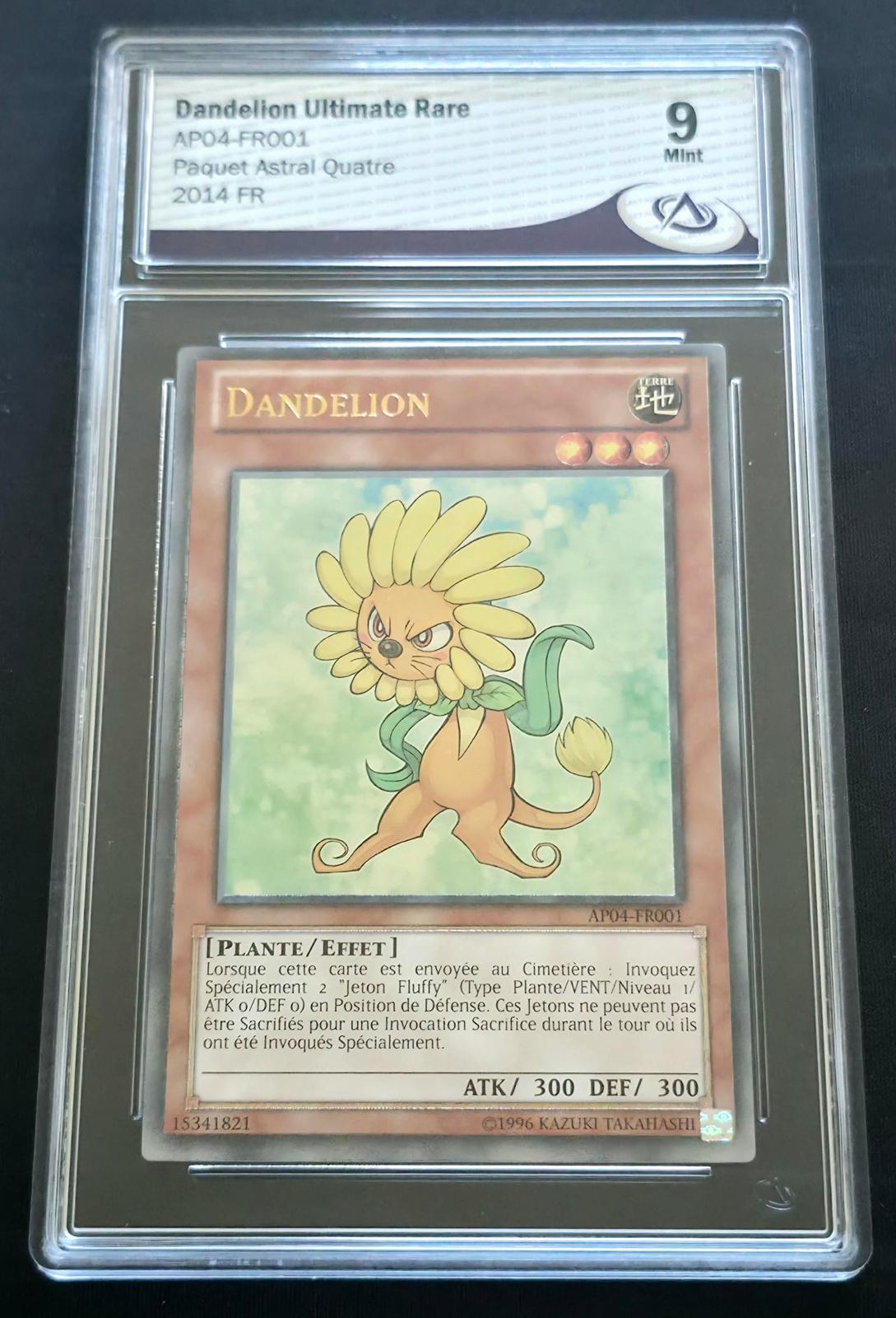 Dandelion