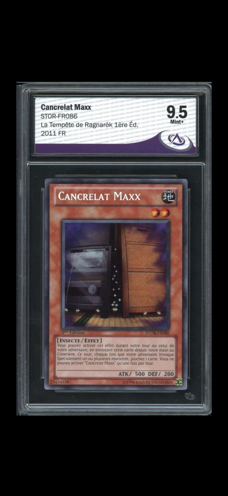 Cancrelat Maxx